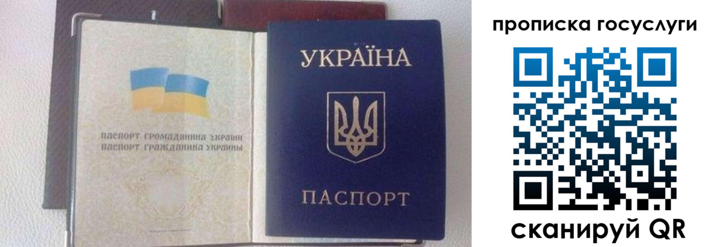 временная регистрация недорого в Дубне